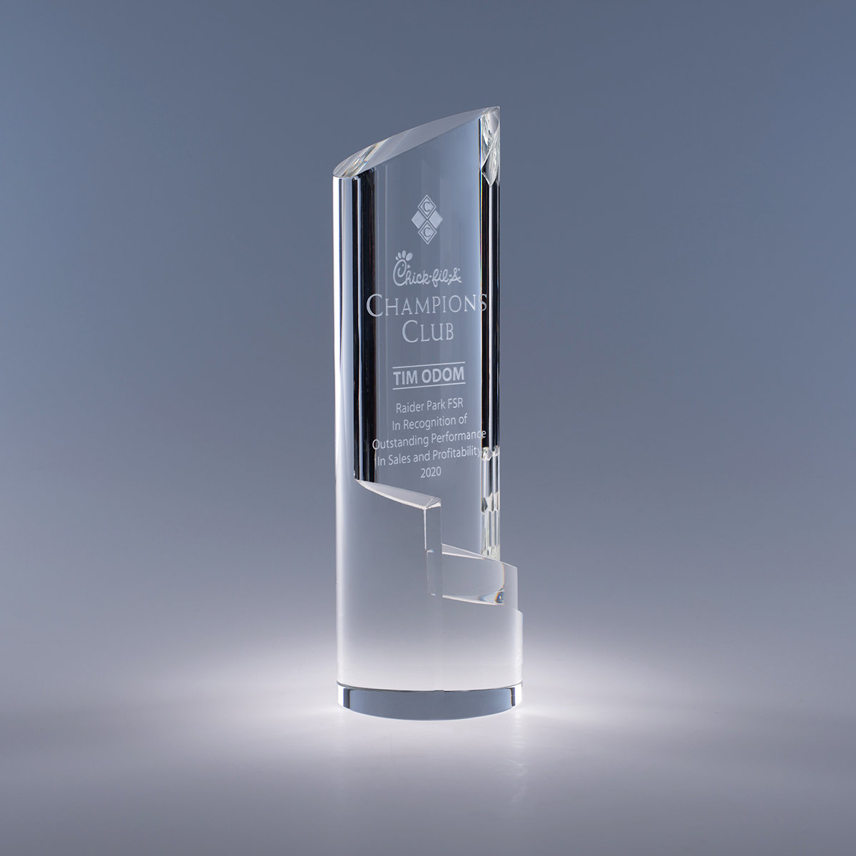 9.5" Trek Crystal Award view 2