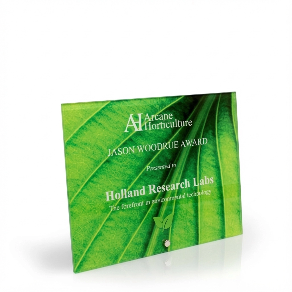 Mason Acrylic Award view 5